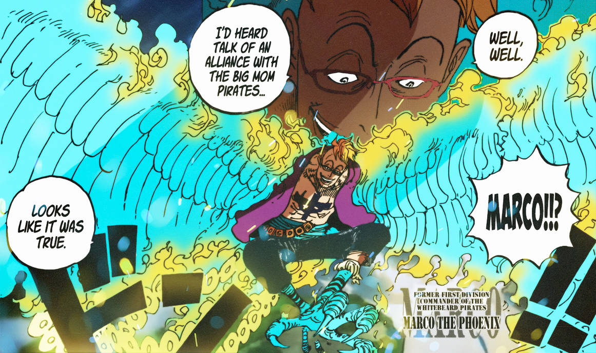 One Piece Chapter 981 Marco The Phoenix Colored By Prmas On Deviantart One Piece Chapter 981 Marco The Phoenix Colored By Prmas On Deviantart