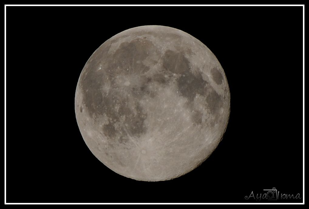 Moon 7.2014