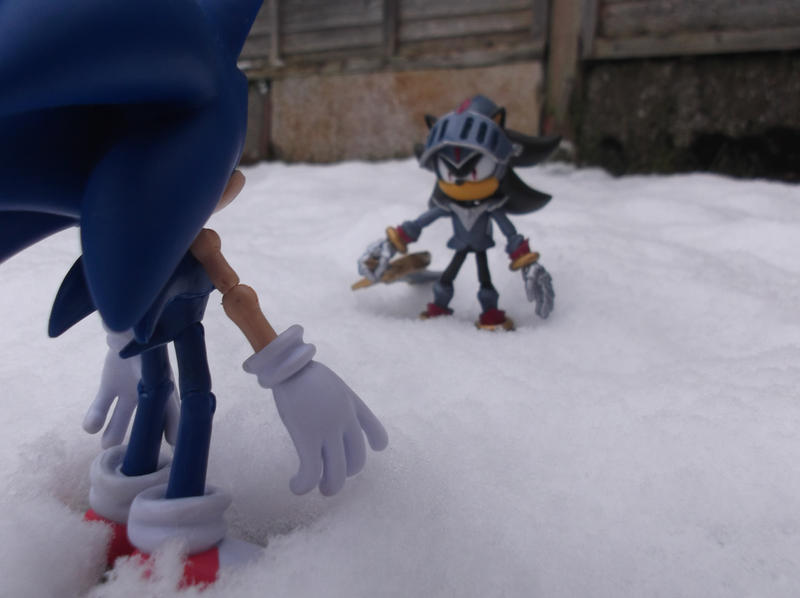 A wild Shadow appears by xRubiMalonex on DeviantArt