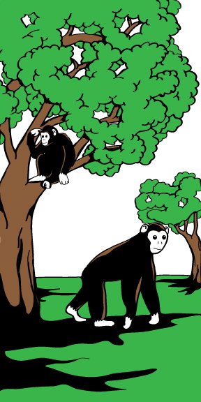 Primates Deviantart Base Zoo Primates by Guitarman3 on DeviantArt