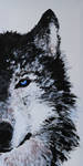Winter Wolf by josephbedfordart