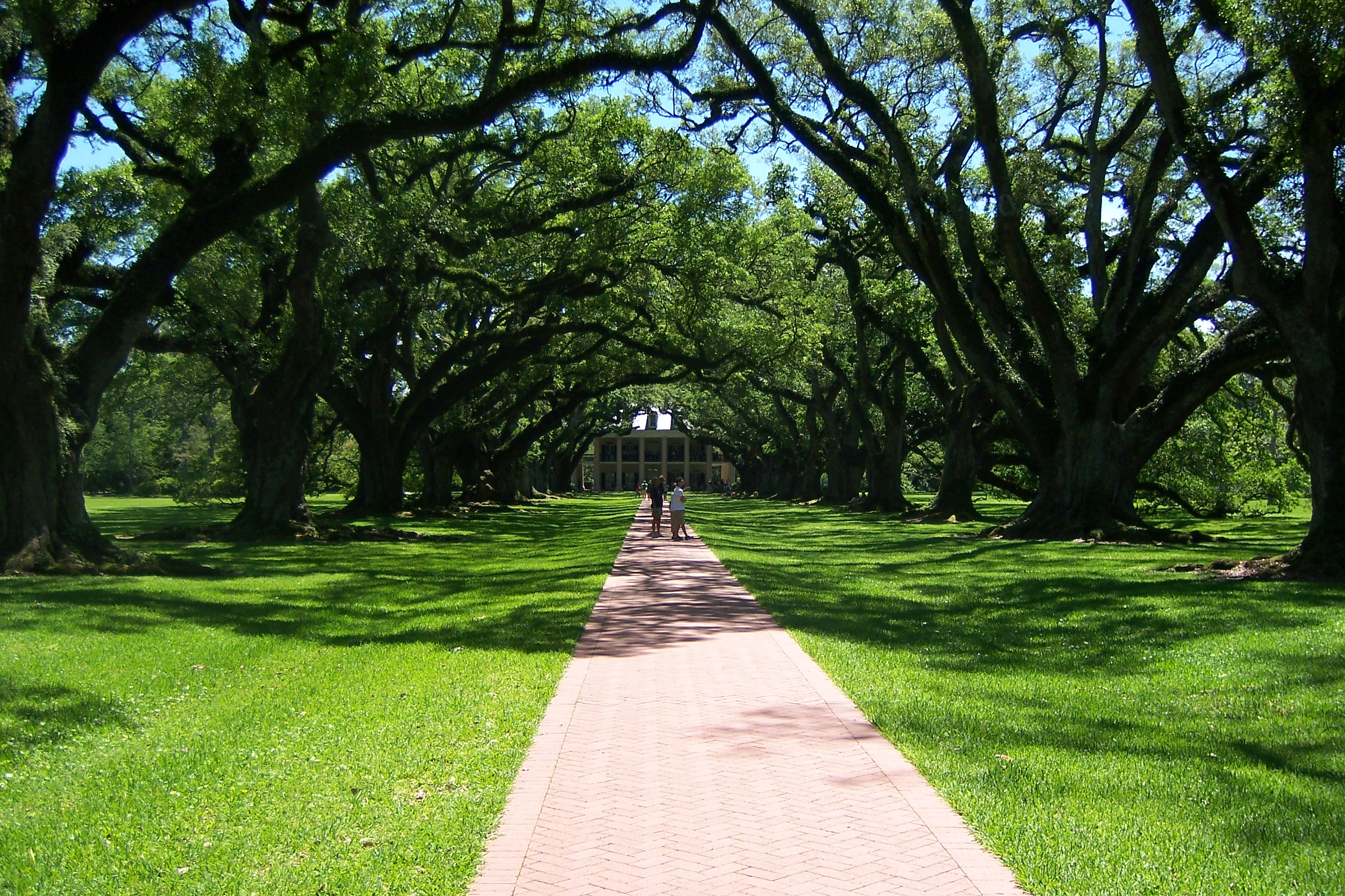 Oak Alley