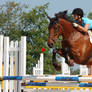 Jumper Horse 3