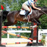 Jumper Horse 13