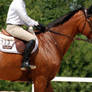 Jumper Horse 22