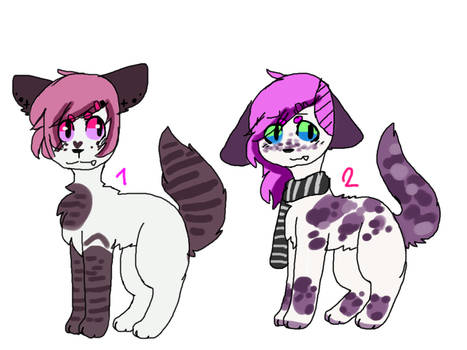 set price adopts (1/2)