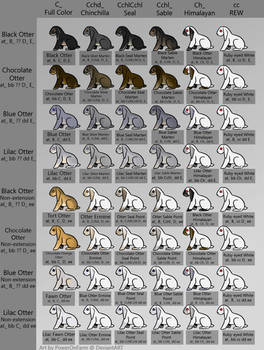 Sable Point Rabbit Color Pattern Chart Explore the Best Genetics Art | DeviantArt