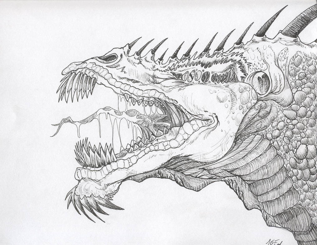 Dragon's Roar by DragonScribble on DeviantArt