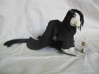 Severus Snape by SalliCostumer