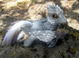 My Little Hippogriff