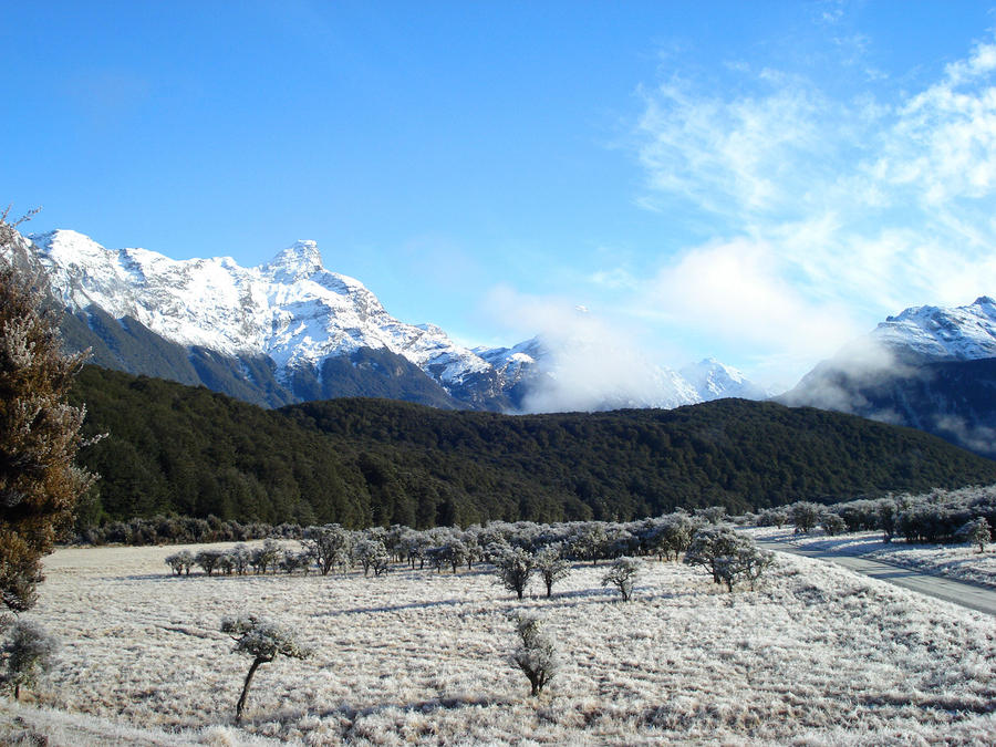 paradise in glenorchy