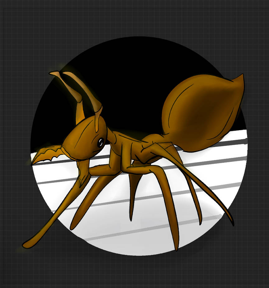 Ant Deviantart Ant! by OceanBlu3K1tty on DeviantArt