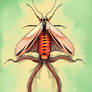 Tentical moth