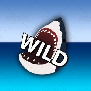 Wild Shark