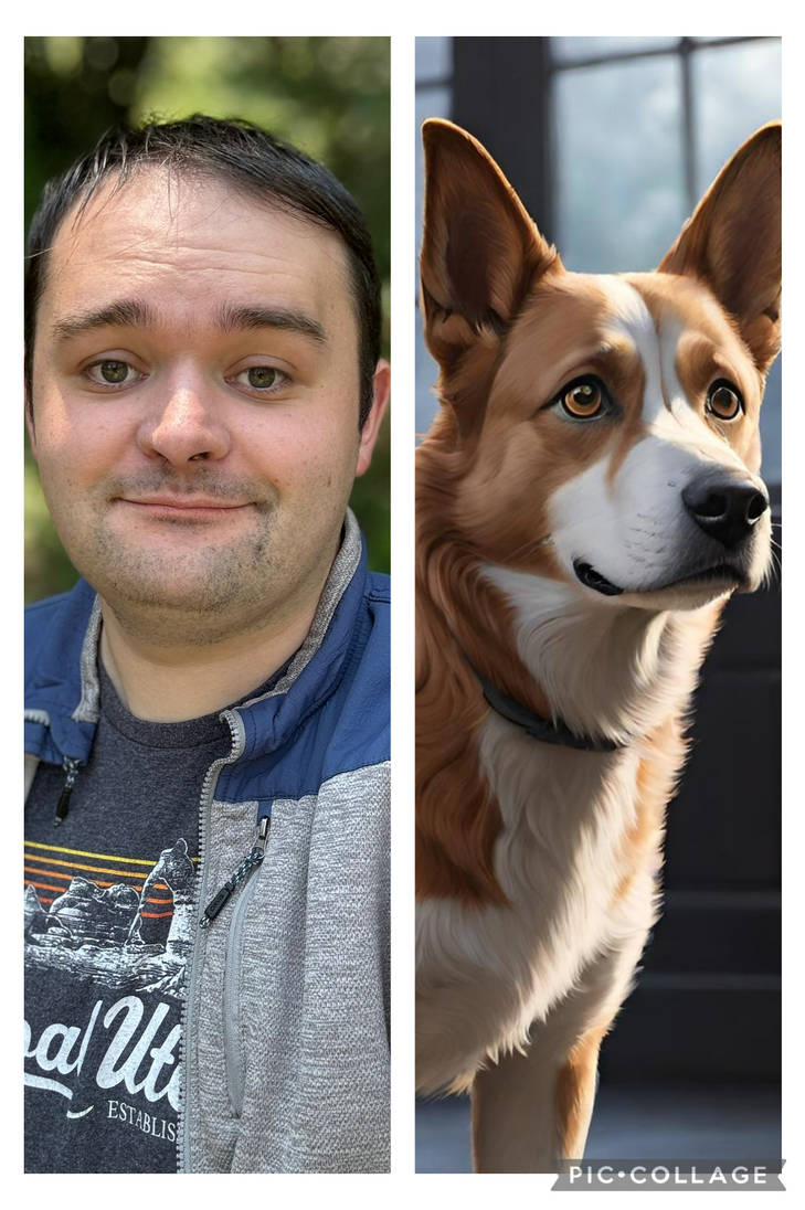 Dogs Piter Riber Dog PIETER by Rossouwpeter on DeviantArt