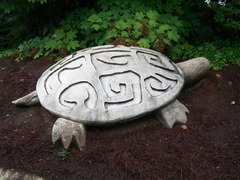 Brasstown turtle mascot