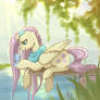 Flutters