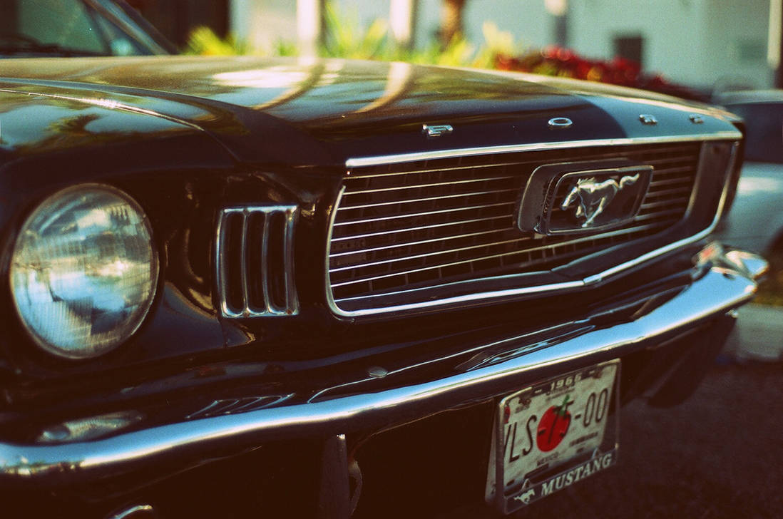 Mustang 1966