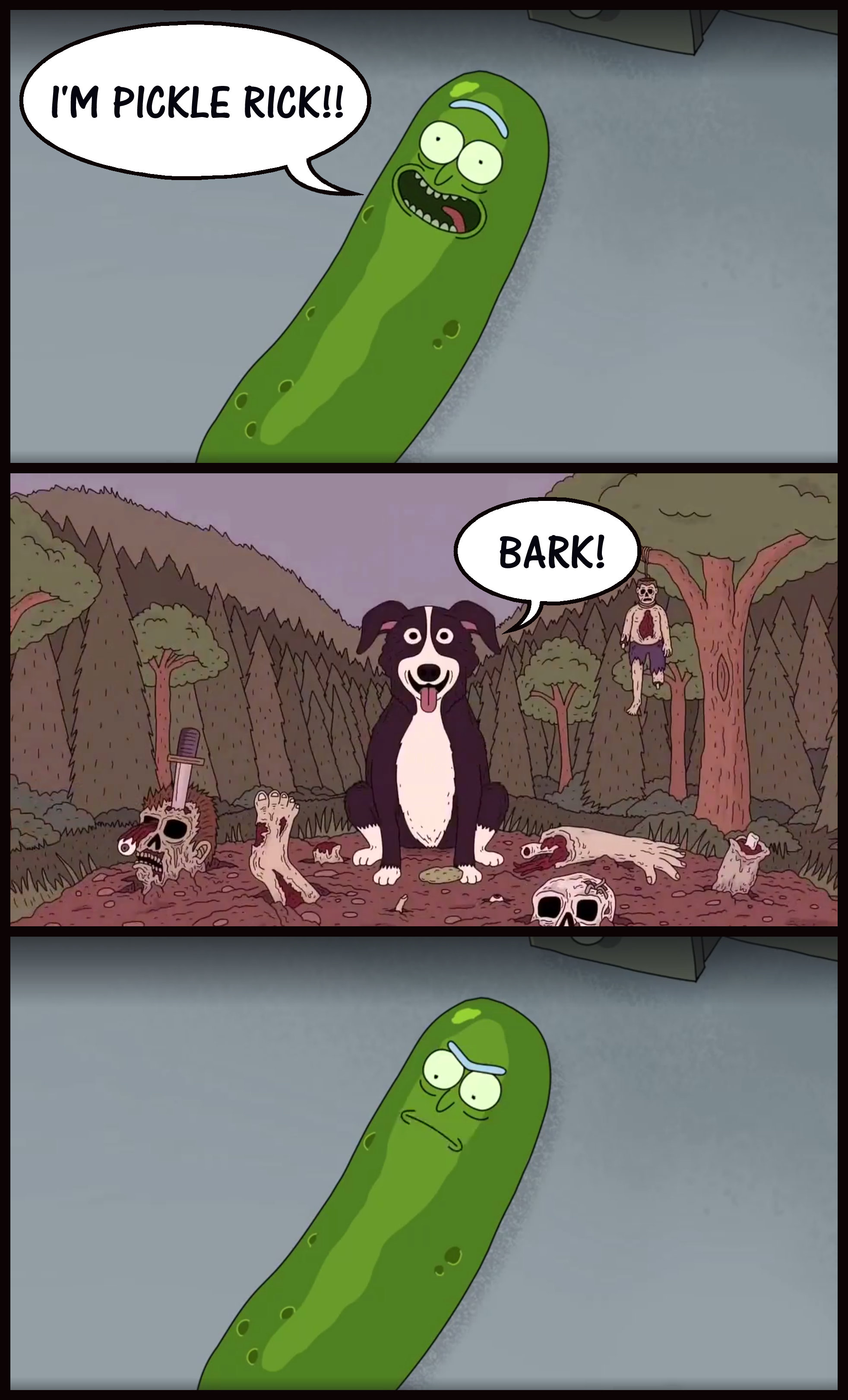 Pickle Rick meets Mr. Pickles : r/rickandmorty