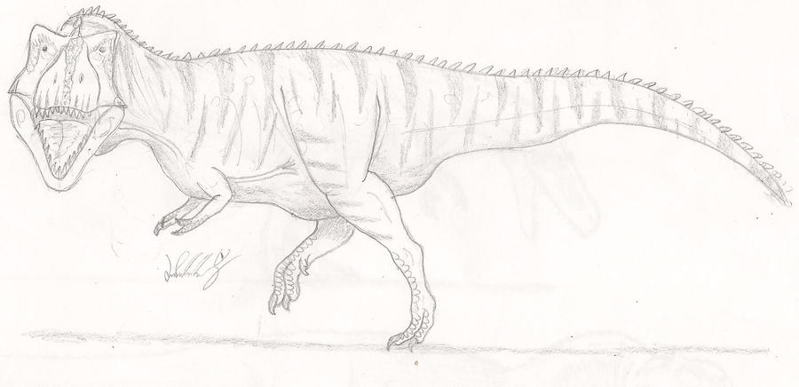 Tyranosaurus 4 By MUNDOREPTILES On DeviantArt tyranosaurus-4-by-mundoreptiles-on-deviantart