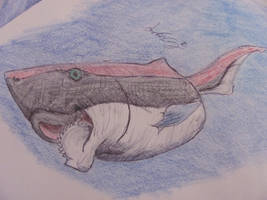 Helicoprion