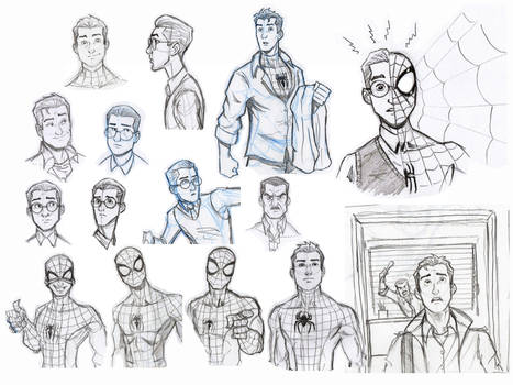 Spider Sketches