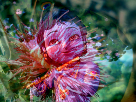 KRiSHNA FloWEr 1