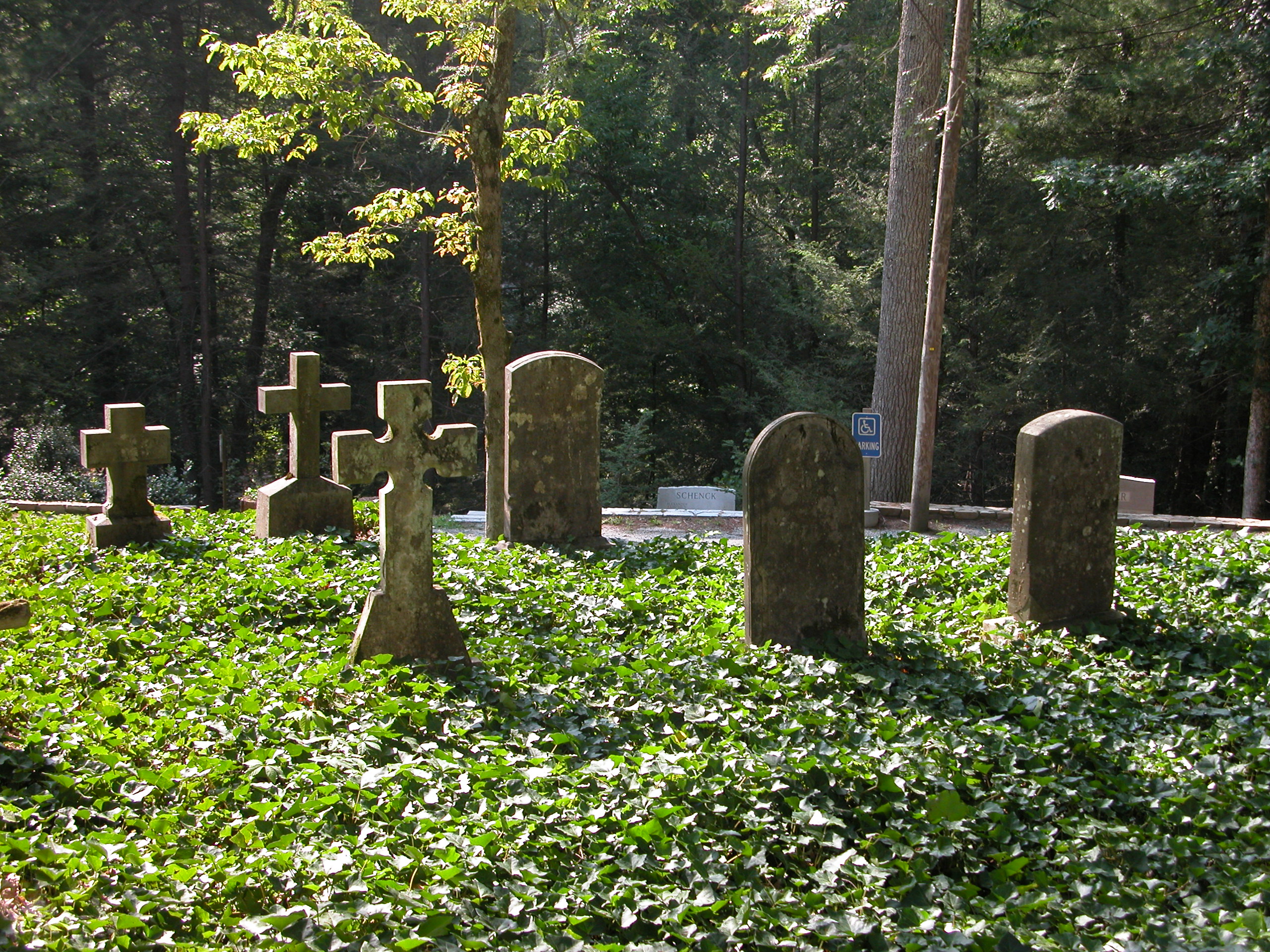 Old Cemetery1