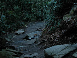 The Mingo Trail