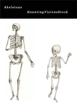 Two Skeletons