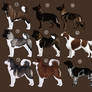 Mixed Breed Imports OPEN| For Sale