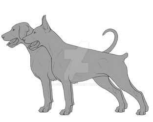 Dobermann ( Natural and Cropped ) Lineart | P2U