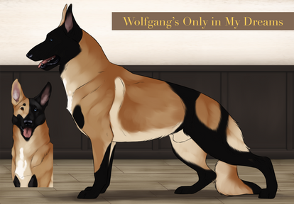 FOR SALE Wolfgang's Only in My Dreams 'Luca'