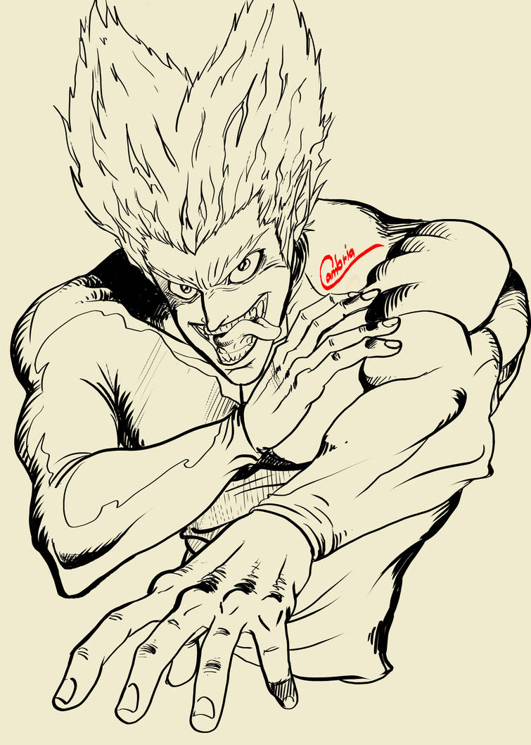 Garou Ragdoll Garou by Cambria07 on DeviantArt