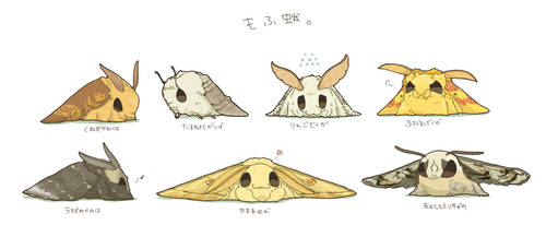 Cute moths.