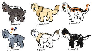 Free Warrior cats adopts