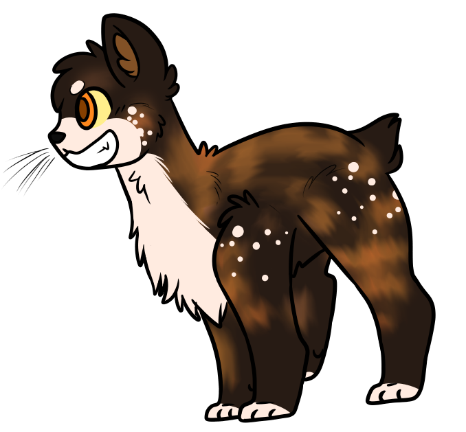 Brindlekit Brindlekit : MycaxWildstrike Adopt by Buff-Spud on DeviantArt