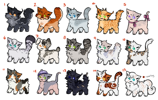 Why Are all these cats Breaking the Warrior code? by Buff-Spud on DeviantArt