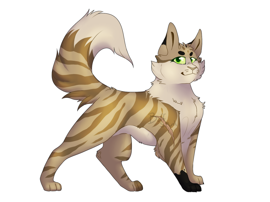 Beechpaw commission by Buff-Spud on DeviantArt
