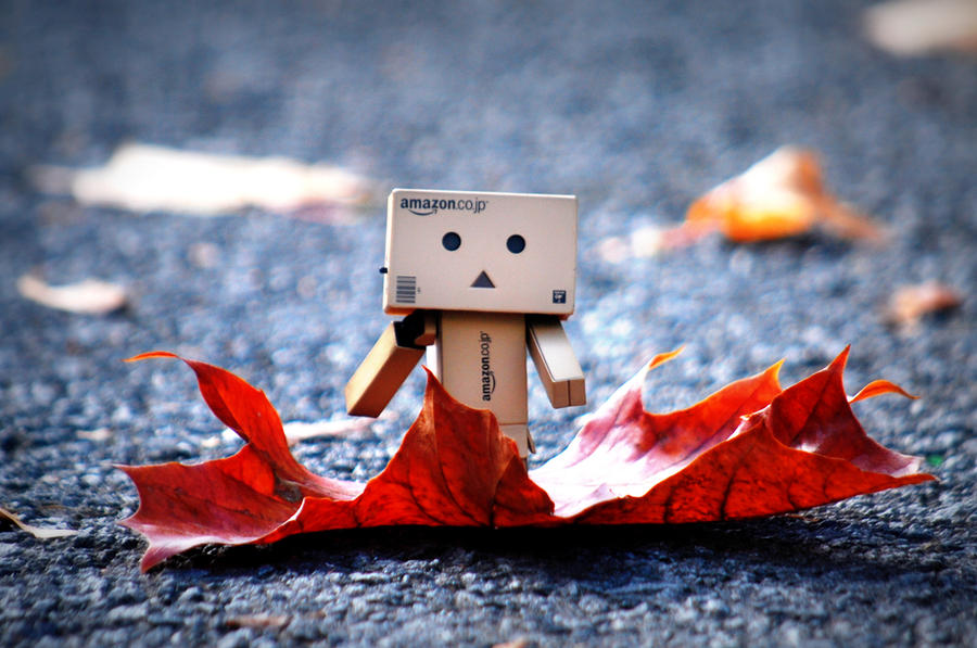 Danbo in Autumn by BeciAnne