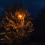 Day of Night
