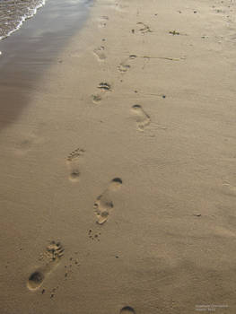 On the sand