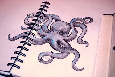 Octopus