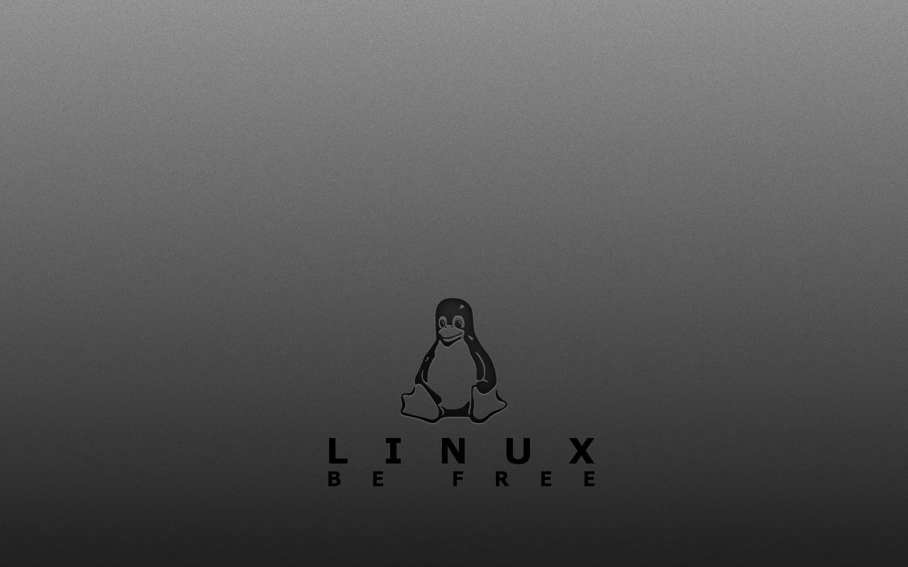 Linux wlp1