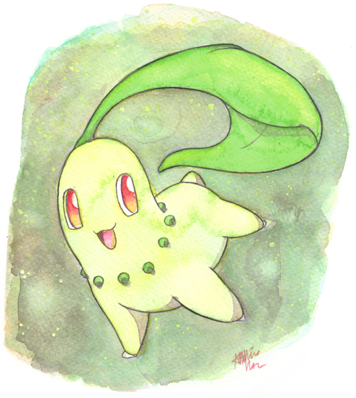 Chikorita