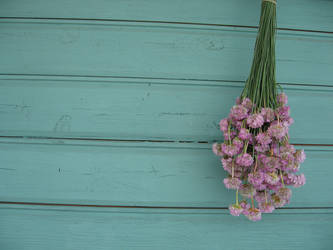 Drying the flowers