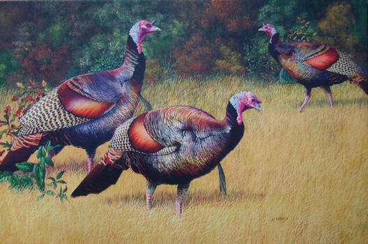 Turkey Trio