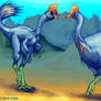 Oviraptor and Cassowary 2