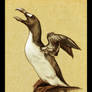 Great Auk