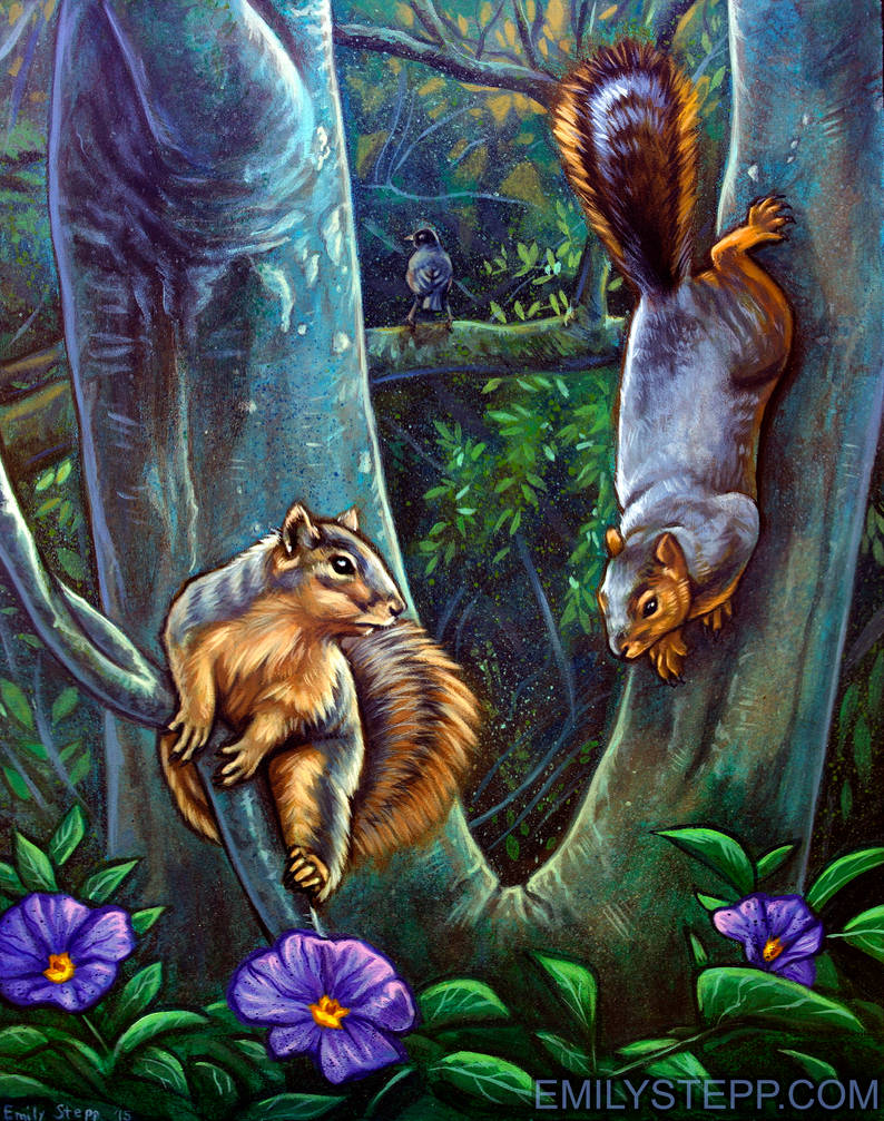 Markham Nature Park Squirrels by EmilyStepp
